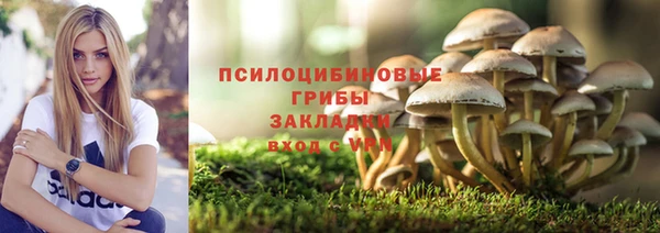 ALPHA PVP Нефтегорск