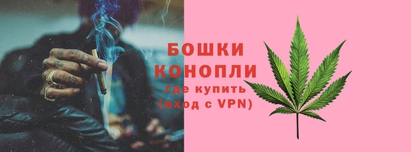 соль ск Новодвинск