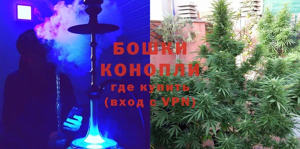 стаф Нефтекумск