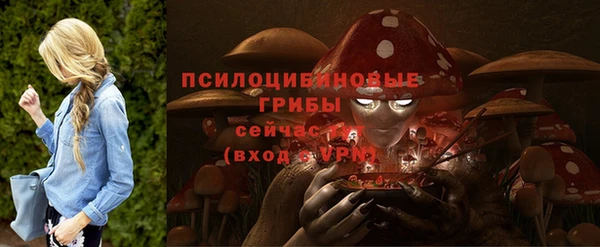 соль ск Новодвинск