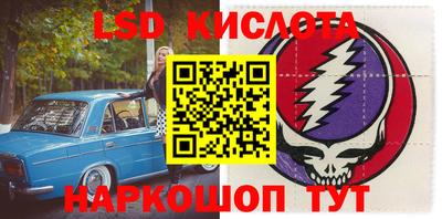 ПСИЛОЦИБИНОВЫЕ ГРИБЫ Камышлов