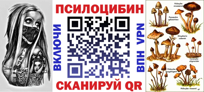 ОМГ ОМГ ССЫЛКА  Нововоронеж  Галлюциногенные грибы Cubensis  закладка 