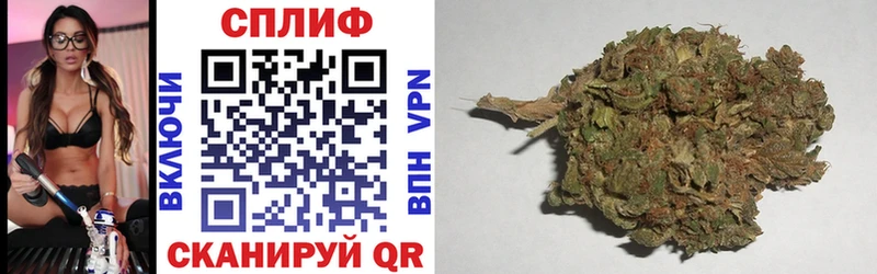 Конопля индика Нововоронеж
